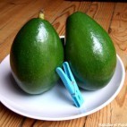 Avocat tropical
