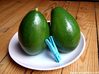 Avocat Tropical