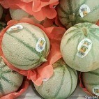 Comment choisir un bon melon ? Comment choisir un bon melon ?
