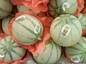 Comment choisir un bon melon ?