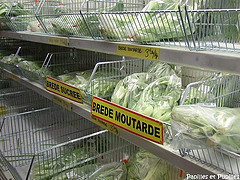 Les brèdes : brèdes sucrées, brèdes mafanes, brèdes .... Brèdes