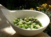 52c8dd61484c2b549c33acc3159f206c Salade printanière aux fèves et aux petits pois