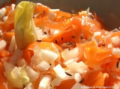 Tagliatelles de carottes et brunoise dendives à lorientale Blog Appetit #10 Tagliatelles de carottes et brunoise d'endives à l'orientale