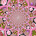 In the Pink - Lesley - 6