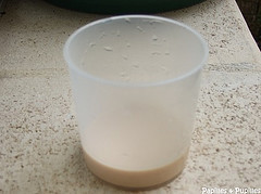 Levure liquide paneo
