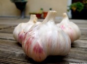 ail Ail, ail, ail – Gagnez un cours de cuisine