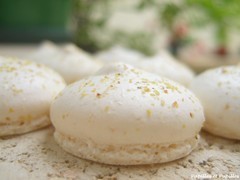 Image Papilles et Pupilles - Les macarons version Pop Art