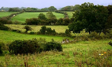 Paysage Irlandais