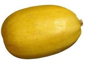 Courge spaghetti