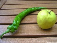 Piment doux des Landes