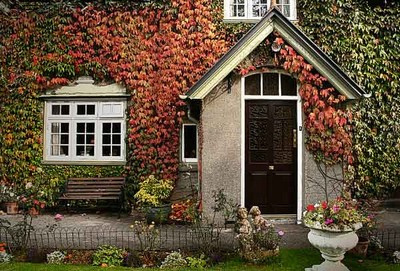 Paysage Irlandais