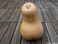 Butternut