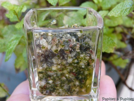Pesto de menthe