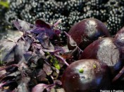 Betterave rouge à la fondue de mûres et au basilic pourpre – Alain Passard Betterave rouge à la fondue de mûres et au basilic pourpre – Alain Passard