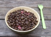 Salade de lentilles au magret séché et Verjus du Périgord Salade de lentilles au magret séché et Verjus du Périgord