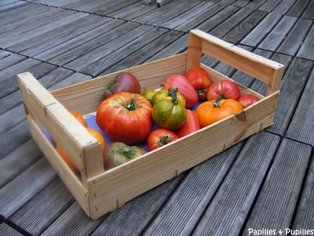 tomates - différentes variétés