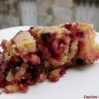Gâteau croustifondant aux cranberries