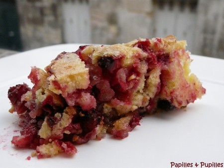 Gâteau croustifondant aux cranberries