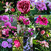 Mosaique Rose - 2