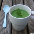 Velouté de courgettes aux herbes du jardin