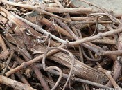 Magret au barbecue – Histoire sans paroles Magret au barbecue – Histoire sans paroles