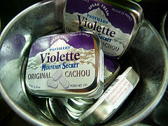 MAison de la violette