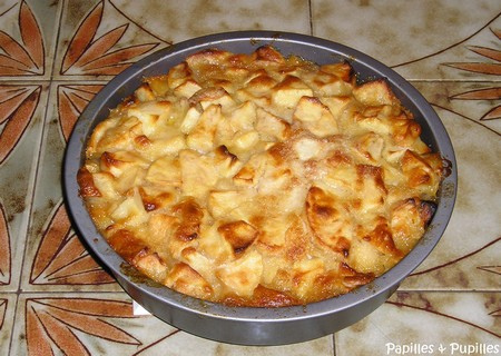 Gâteau Bernadette aux pommes