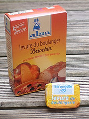 Levure de boulanger