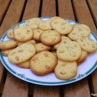 Biscuits aux graines de fenouil et pignons de pin
