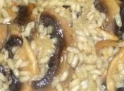 Risotto-aux-champignons Risotto aux champignons