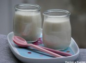 Yaourts au lait concentré Yaourts au lait concentré