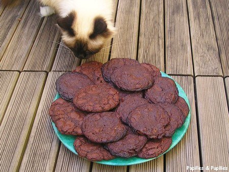 Image Papilles et Pupilles - Cookies Indulgence