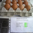 Tranches de vie … les oeufs