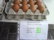 Tranches de vie … les oeufs Tranches de vie … les oeufs
