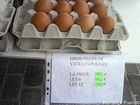 Gros oeufs de vieilles poules