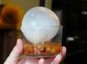 Verrine de tartare de tomates, bulle de mozzarella