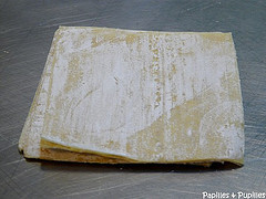 pâte won ton