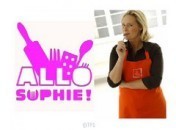 b2ad6a4f8a65d007169530d16c5e350f Allo Sophie : Sophie Dudemaine sur TF1