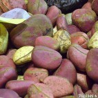 Noix de kola – noix de cola