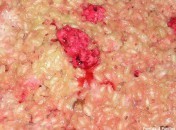b5126ea639429af0d4502589d8c4365d Risotto au lait et aux pralines concassées