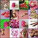 Mosaique Rose de Mai - 34