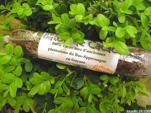 Bâton de cacao