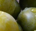 Prunes Reine Claude Prunes Reine Claude