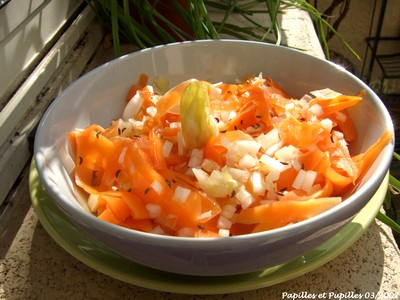 Tagliatelles de carottes et brunoise dendives à lorientale Blog Appetit #10 Tagliatelles de carottes et brunoise d'endives à l'orientale