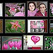 Mosaique Rose de Mai - 33
