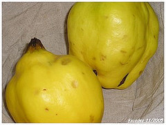 Coings après brossage