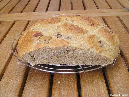 Image Papilles et Pupilles - Pain poolish
