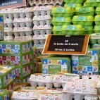 oeufs oeufs