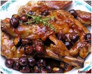 Lapin de la Garrigue