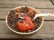 Salade de lentilles aux tomates confites et au vinaigre de tomates Salade de lentilles aux tomates confites et au vinaigre de tomates
